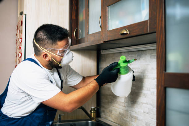 Best Emergency Pest Control  in Algoma, WI