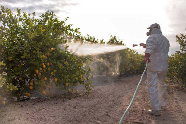 Reliable Algoma, WI Pest Control Solutions