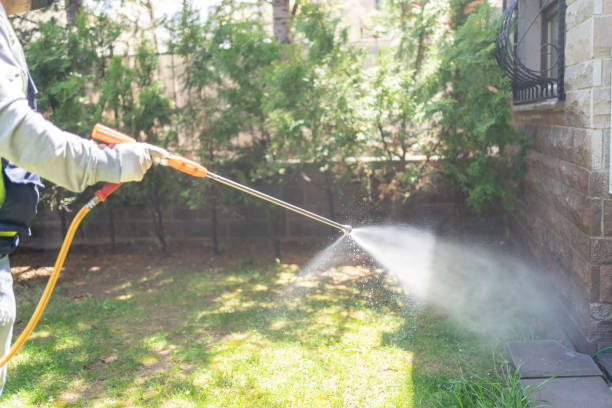 Bird Control in Algoma, WI