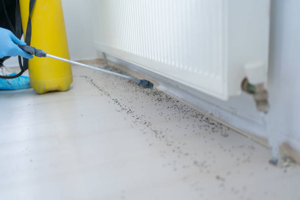 Best Exterminator Services  in Algoma, WI